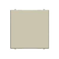 ABB  Zenit  Шампань Заглушка 2-мод. N2200 CV