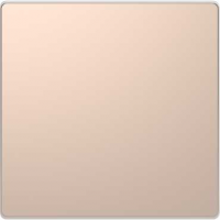 SCH  MERTEN  D-Life  Шампань  Заглушка MTN4075-6051